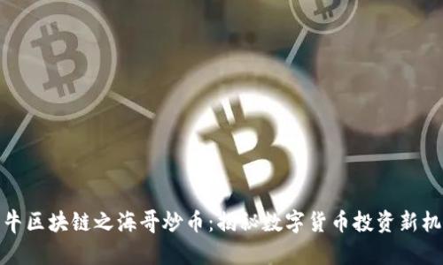 牧牛区块链之海哥炒币：揭秘数字货币投资新机遇