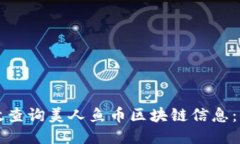 如何高效查询美人鱼币区块链信息：全面指南
