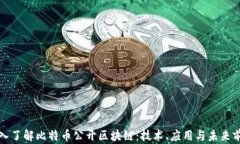 深入了解比特币公开区块链：技术、应用与未来