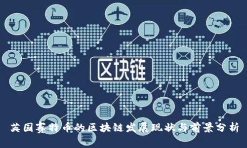 英国赛特币的区块链发展现状与前景分析
