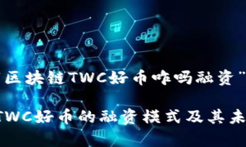 以下是关于“区块链TWC好币咋吗融资”的内容规划：

探讨区块链TWC好币的融资模式及其未来前景