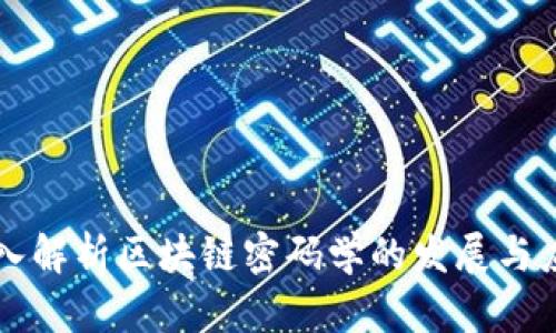 深入解析区块链密码学的发展与应用
