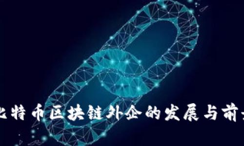 上海比特币区块链外企的发展与前景分析