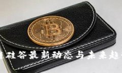 区块链硅谷最新动态与未来趋势解析