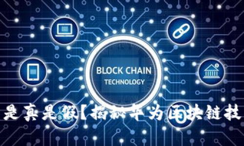 华为区块链币是真是假？揭秘华为区块链技术的真实面貌