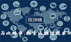 苹果与比特币：探索区块
