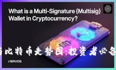 2023年区块链与比特币走势