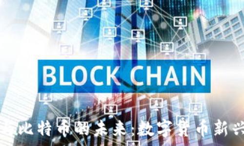   
探索红腹区块链与比特币的未来：数字货币新兴趋势的深度分析