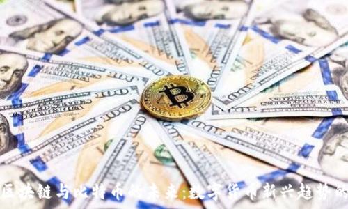   
探索红腹区块链与比特币的未来：数字货币新兴趋势的深度分析