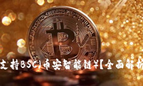 TP钱包是否支持BSC（币安智能链）？全面解析与使用指南