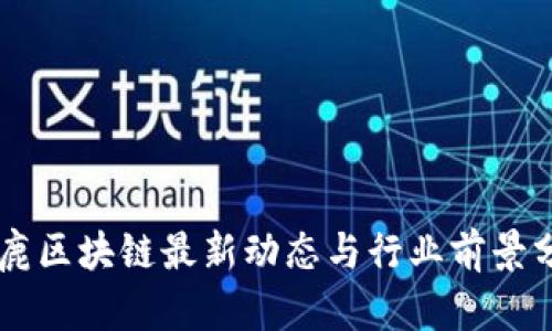 巨鹿区块链最新动态与行业前景分析