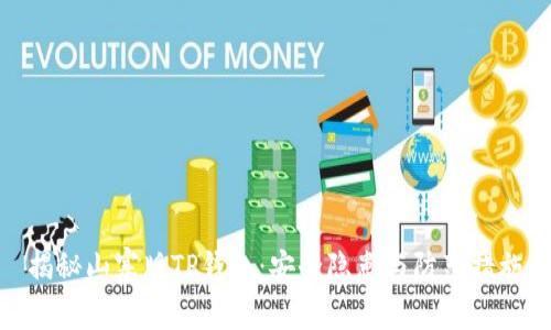 揭秘山寨版TP钱包：安全隐患与防范措施