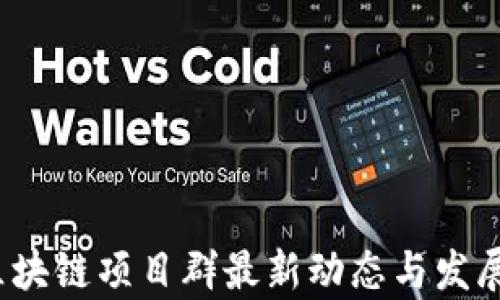 
2023年区块链项目群最新动态与发展趋势分析