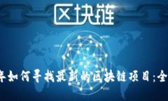 2023年如何寻找最新的区块