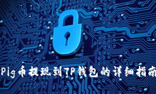Pig币提现到TP钱包的详细指南