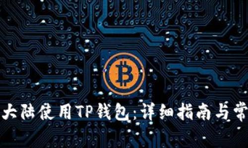 如何在中国大陆使用TP钱包：详细指南与常见问题解答