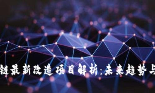 中国区块链最新改造项目解析：未来趋势与应用前景