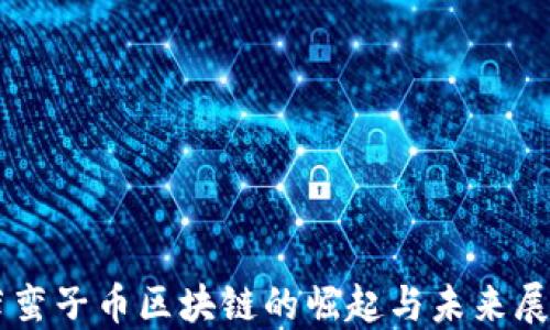 
薛蛮子币区块链的崛起与未来展望