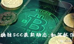 北京银赫区块链SCC最新动态：如何抓住机遇与挑