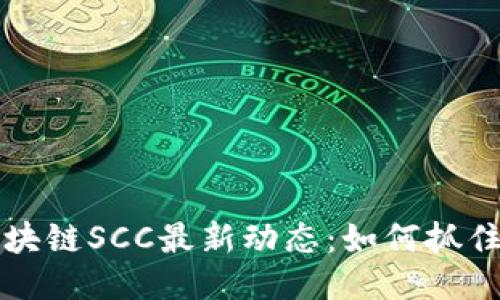 北京银赫区块链SCC最新动态：如何抓住机遇与挑战