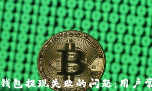 
如何解决TP钱包提现失败的问题：用户常见痛点解析