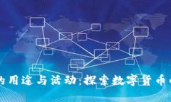 区块链币的用途与活动：探索数字货币的无限可