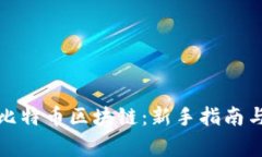 如何快速下载比特币区块链：新手指南与常见问