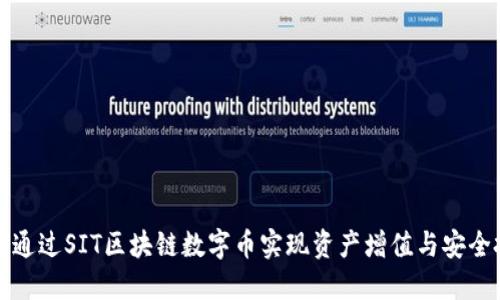 如何通过SIT区块链数字币实现资产增值与安全投资