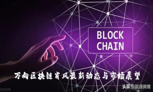 万向区块链肖风最新动态与市场展望