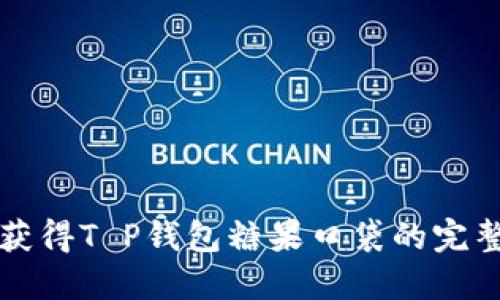 轻松获得T P钱包糖果口袋的完整指南