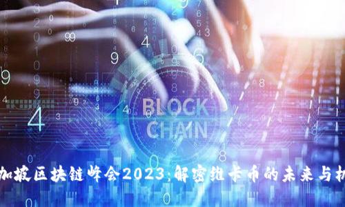 新加坡区块链峰会2023：解密维卡币的未来与机遇