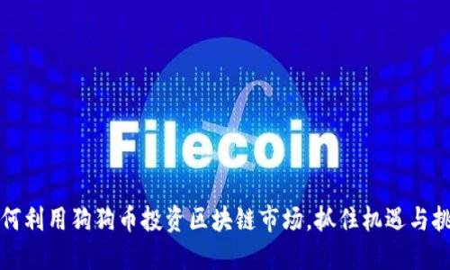 如何利用狗狗币投资区块链市场，抓住机遇与挑战