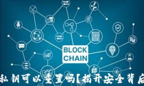 
TP钱包私钥可以重置吗？揭开安全背后的真相