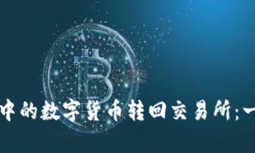 如何将TP钱包中的数字货币转回交易所：一步步简单指南