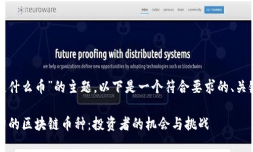 关于“现在区块链什么币”的主题，以下是一个符合要求的、关键词和内容大纲。

2023年最具潜力的区块链币种：投资者的机会与挑战