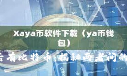先有区块链，后有比特币：揭秘两者间的密不可分关系