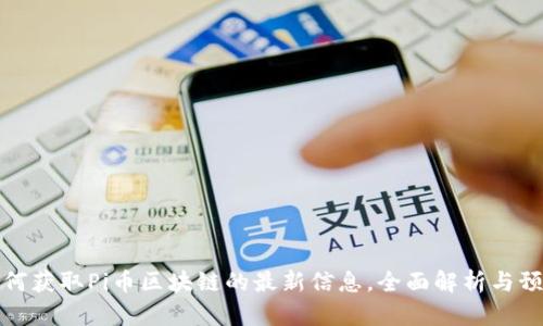 如何获取Pi币区块链的最新信息，全面解析与预测