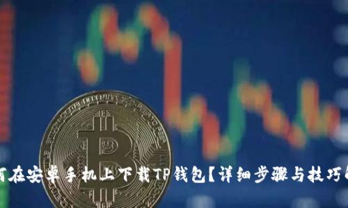 如何在安卓手机上下载TP钱包？详细步骤与技巧解析