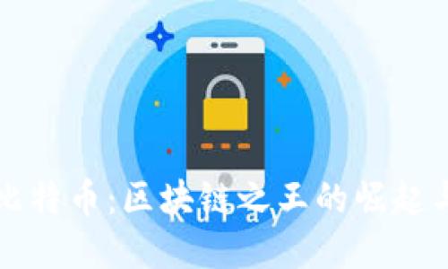 解密比特币：区块链之王的崛起与未来