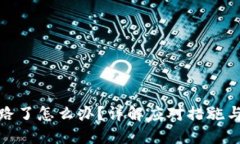 TP钱包跑路了怎么办？详解