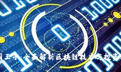 币圈王子：全面解析区块链技术与投资机遇