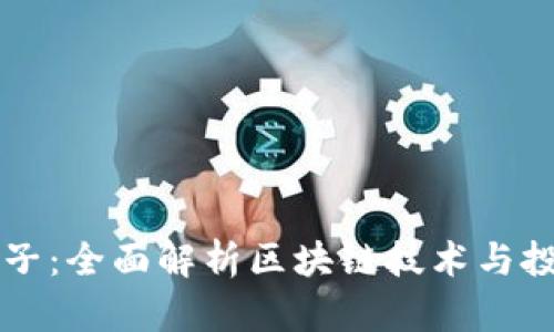 币圈王子：全面解析区块链技术与投资机遇