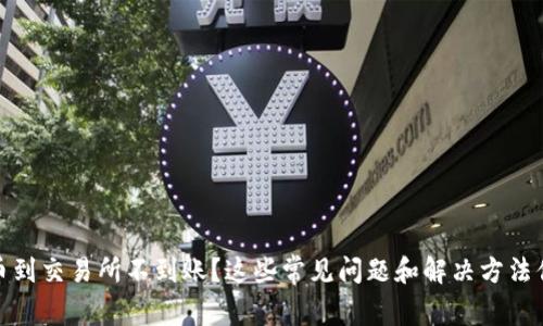 TP钱包提币到交易所不到账？这些常见问题和解决方法你必须知道