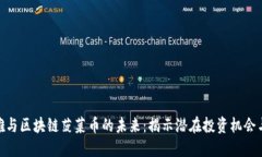 俞凌雄与区块链菠菜币的