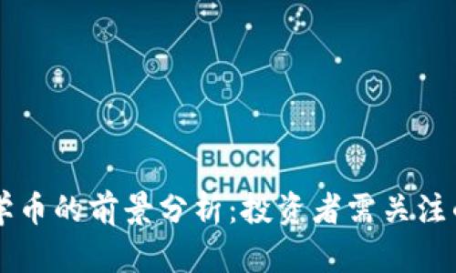 区块链数学币的前景分析：投资者需关注的五大因素