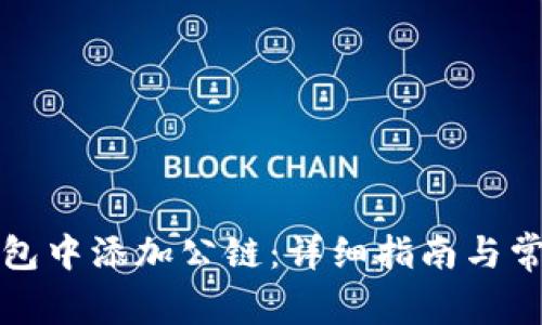 如何在TP钱包中添加公链：详细指南与常见问题解答