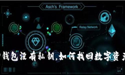 TP钱包没有私钥，如何找回数字资产？