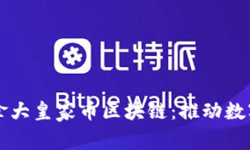 深入了解加拿大皇家币区块链：推动数字货币的未来