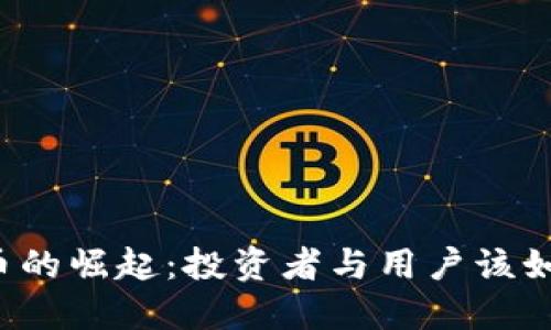 区块链币的崛起：投资者与用户该如何应对？