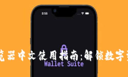 币安区块链浏览器中文使用指南：解锁数字资产的透明世界